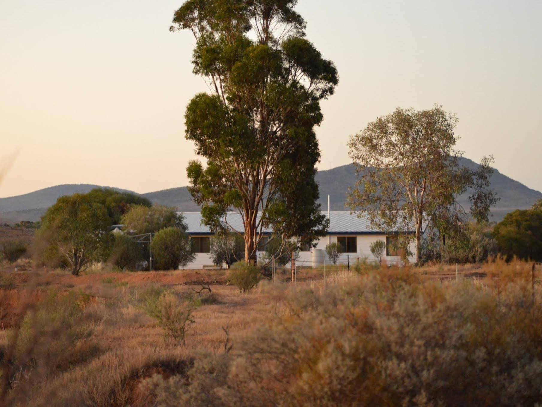 Windana Cottages Hawker Exterior photo